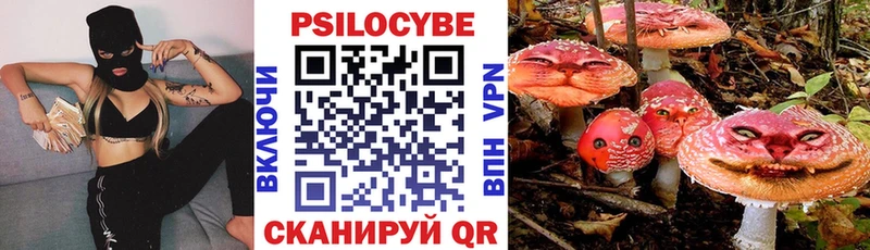 купить наркотик Новоаннинский Галлюциногенные грибы ЛСД