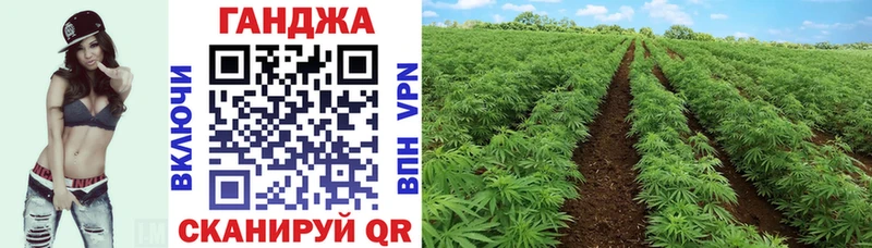 наркота shop Telegram Канабис SATIVA & INDICA Новоаннинский гидра tor